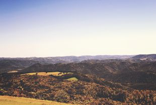Mountains of the Potomac