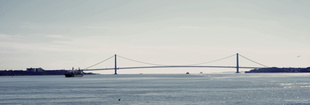 New York,  Verrazzano Narrows bridge