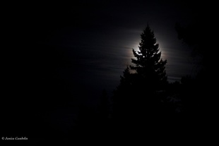 Darkened days