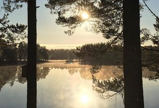 morningdawn
