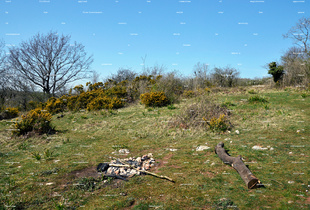 Common Lands (detail)