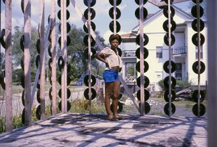 [The Heidelberg Project]