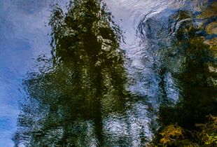 Liquid Sky 01