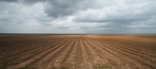 Lucy Lewis ~ Greenville McNeel PlantationBrazoria County Texas - 29°0’5″ N 95°32’6″ W