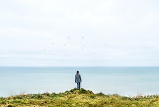 Horizon(vi)tal1
