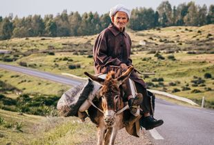 Local transport