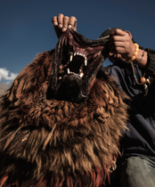 Tibetan Mastiff