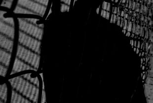 Shadow_2