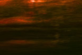 Title: +37° 9' 25.00", -121° 58' 54.91                    © Nicolo Sertorio