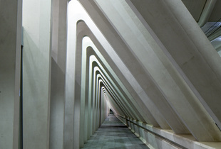 Liege Guillemins