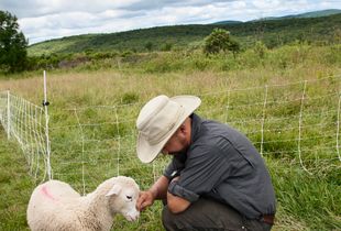 Farmer James nuzzles one of his lambs.