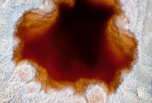 Ravenswood VII (Ground Level, Front Cover of "Salt of the Earth", Book)