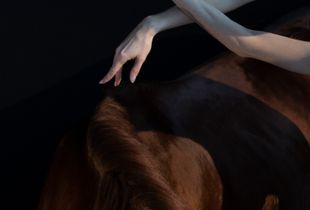 Animal Inside 01