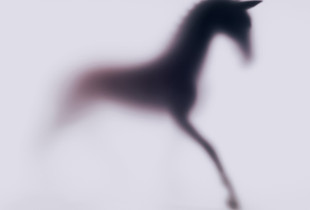 Wild-blur-horses-22.jpg
