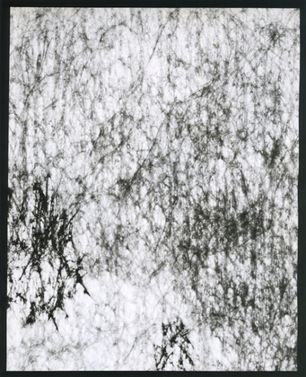 Fleece VIII