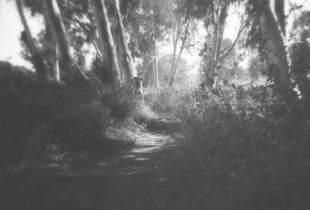 Holga 120N exposure