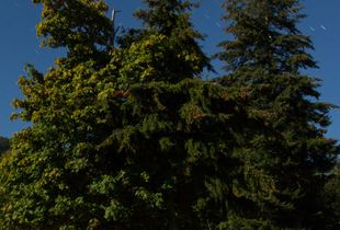 Ante Meridiem i