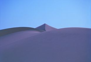 LS IX #17
