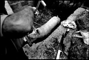 © Oliver Weber - Matanza
