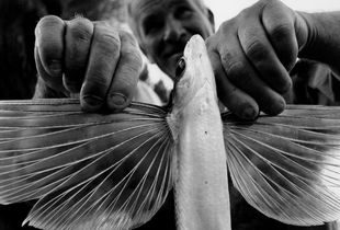 © UTA THEILE PHOTOGRAPHY