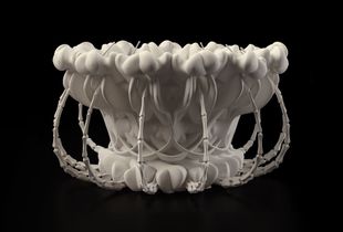 ROBOTIC JELLYFISH DRONE [Cyanea machina] self-activates above 30°C to transport freshwater from rivers to dry remote agricultural areas