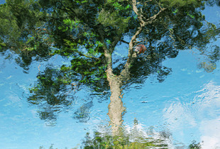 reflexes_01