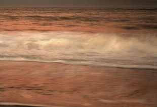 Progression © Lee White