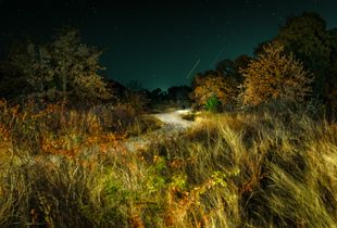 Grassland Field Road, Stars and Streaks, Shadowman