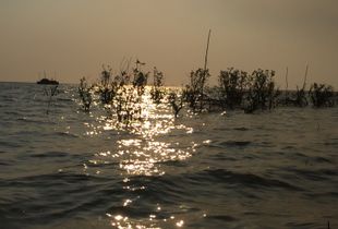 Cambodia