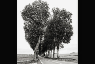 Heart alley.