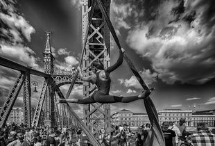bridge0
