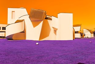 Surrea architecture #9
