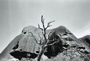 Earth