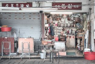 The Bird Market