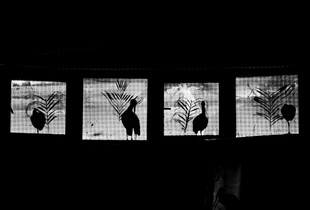 The Four Horsemen