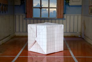 CUBE, 14"x 21", Digital Pigment Print, 2009 © Bill O'Donnell