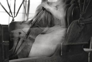 Elegy © Lisa Folino