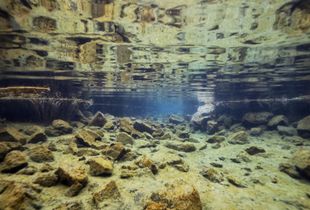 Underwater Reflections
