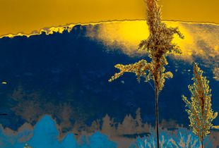 Special Landscapes 1