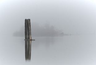 Fraser River Morning