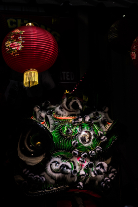 The dragon