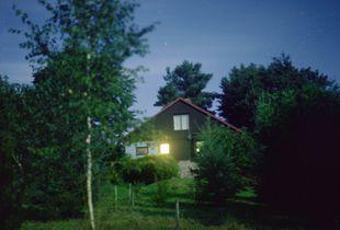 the garden