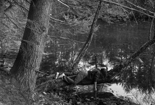 Untitled (River Tree)