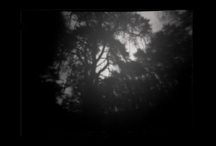 Camera Obscura (2004)
