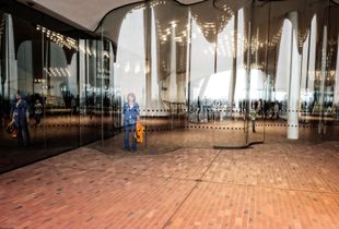 Ghosts and Mirrors © Jürgen Novotny