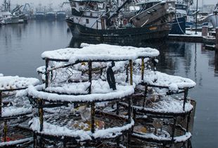 Crab pots in the snow