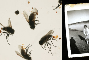 Diptych 1