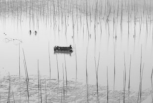 Within the mudflat