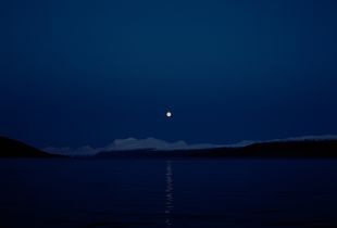 Moon
