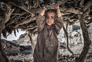 Roots Connection